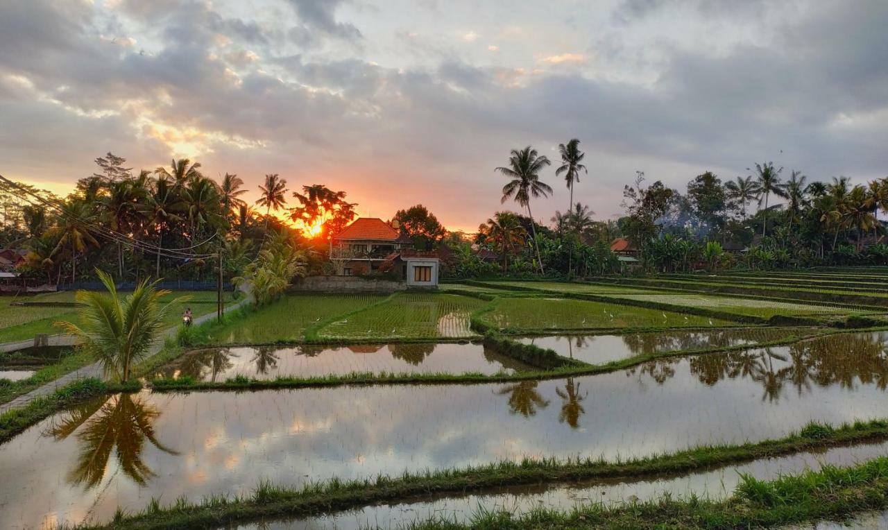 أوبود Umah Bali Villa المظهر الخارجي الصورة